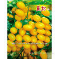 Hybird Tomato Seeds-All Color